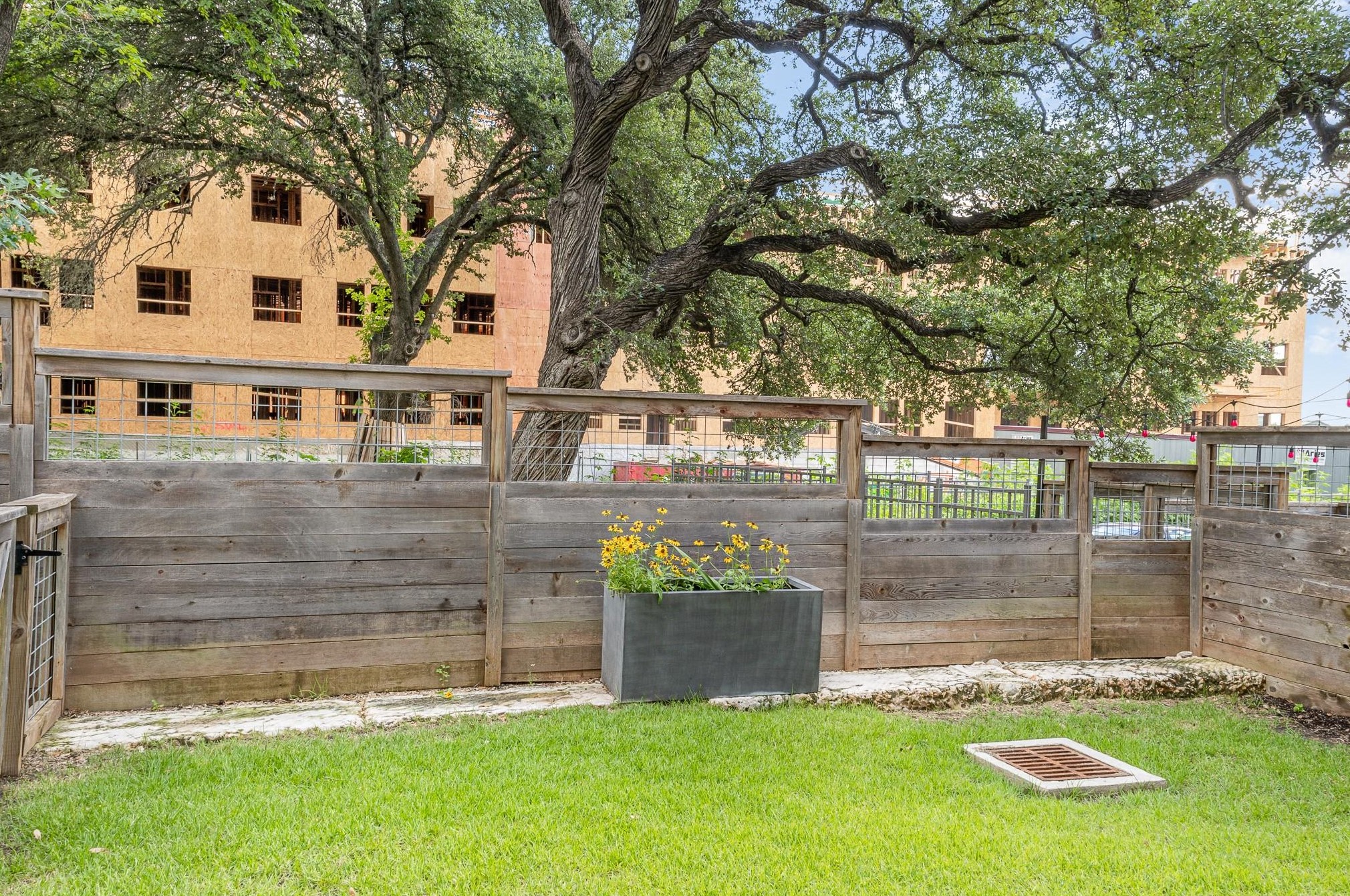 5924 Congress Ave, Austin TX  78745-3104 exterior