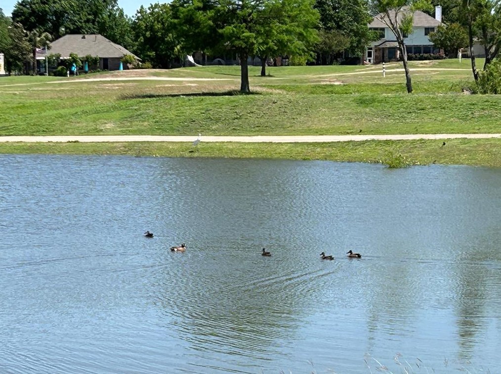 19308 Sea Is Dr, Pflugerville TX 78660-5360 exterior