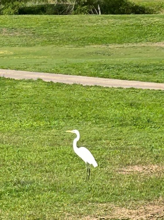 19308 Sea Is Dr, Pflugerville TX 78660-5360 exterior