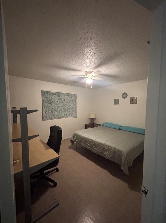 4504 Dovehill Dr, Austin TX  78744-4342 exterior