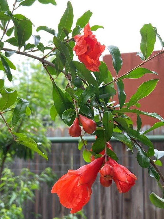 1013 Tensley Trl, Austin TX 78748-6489 exterior