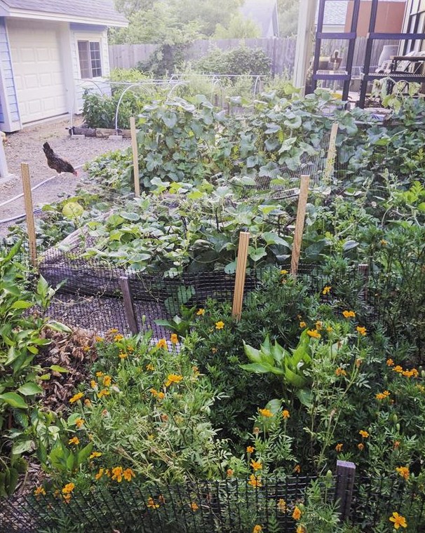 1013 Tensley Trl, Austin TX 78748-6489 exterior