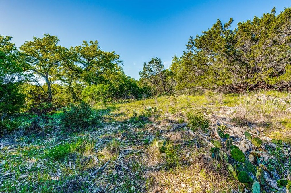 425 Oriole Trl, New Braunfels TX 78133-4119 exterior