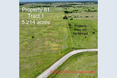 Tract 1 County Rd 258 - Photo 1