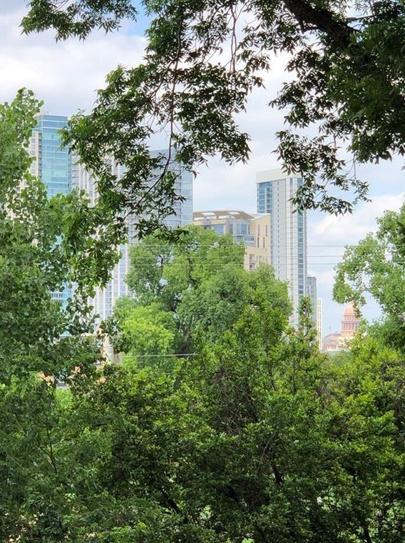 1600 Barton Springs Rd, Austin TX  78704-1081 exterior