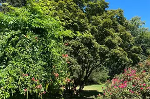 265 Friendship Rd, Cranbury Township, NJ 08812 - Photo 11