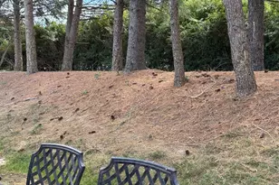 19 Wellington Pl, Monroe Township, NJ 08831 - Photo 51