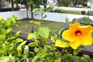 345 ShadyNook St, Aberdeen Township, NJ 07735 - Photo 25