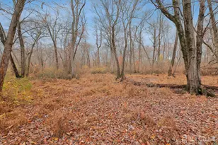 49 Morton Ave, Monroe Township, NJ 08831 - Photo 31