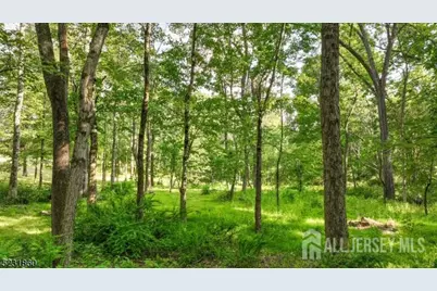 83 Readington Road, Readington, NJ 08889 - Photo 9