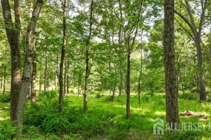 83 Readington Rd, Readington, NJ 08889 - Photo 9