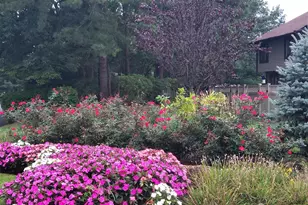 11 Borelle Square, Sayreville, NJ 08859 - Photo 43