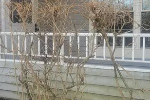 2402 Candlelight Ct, Helmetta, NJ 08828 - Photo 13