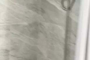 161 Evergreen Rd, Edison, NJ 08837 - Photo 11