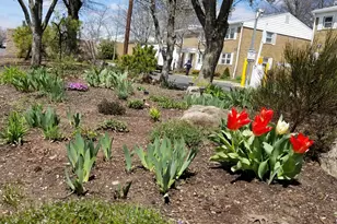 27 Judson St, Edison, NJ 08837 - Photo 3