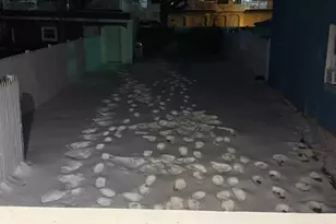 283 Washington St, Perth Amboy, NJ 08861 - Photo 15