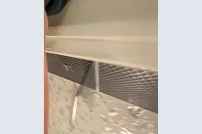 81 Redmond Street, New Brunswick, NJ 08901 - Photo 13