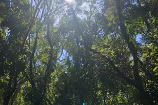 0-00 Route 33 Hwy, Monroe Township, NJ 08831 - Photo 1