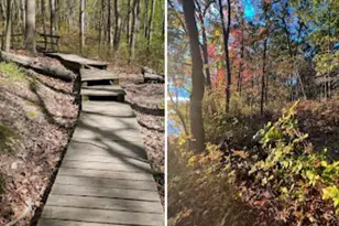 95 Kennedy Ave, Aberdeen Township, NJ 07721 - Photo 45