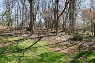 7 Cactus Ct, Edison, NJ 08820 - Photo 31