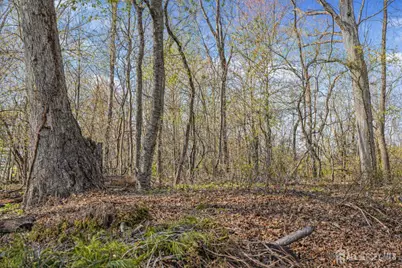 22 Meyer Road, Edison, NJ 08817 - Photo 39