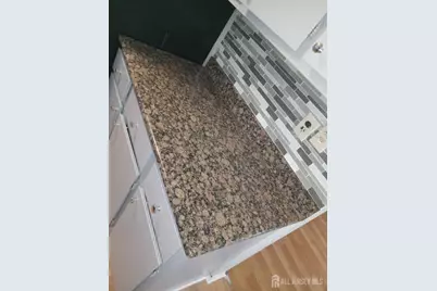 1503 Raspberry Court, Edison, NJ 08817 - Photo 7