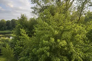 27 Wisteria Ct, Monroe Township, NJ 08831 - Photo 37