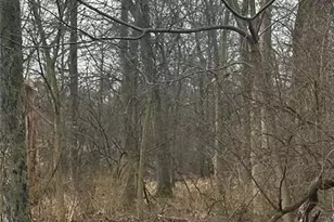 72 School St, Piscataway Township, NJ 08854 - Photo 1