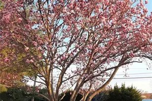 19 Jurgelsky Rd, Monroe Township, NJ 08831 - Photo 5