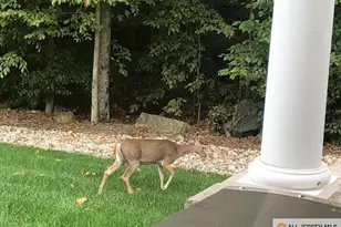 38 Edgemere Dr, South Brunswick Township, NJ 08824 - Photo 3