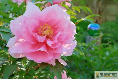 25 Voorhees Place, Metuchen, NJ 08840 - Photo 33