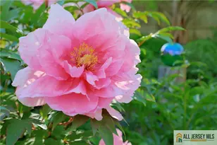 25 Voorhees Pl, Metuchen, NJ 08840 - Photo 33