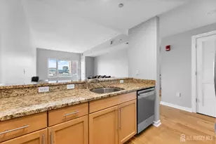 20 Livingston Ave, New Brunswick, NJ 08901 - Photo 15