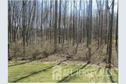 1056 Morning Glory Drive, Monroe Township, NJ 08831 - Photo 9