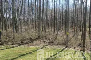 1056 Morning Glory Dr, Monroe Township, NJ 08831 - Photo 9