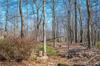 16 Skytop Road, Lebanon Township, NJ 07853 - Photo 43