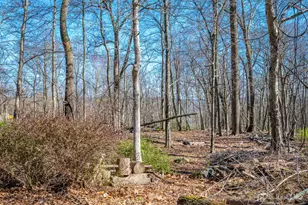 16 Sky Top Rd, Lebanon Township, NJ 07853 - Photo 43