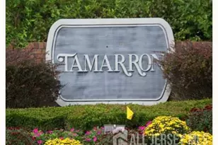 8020 Tamarron Dr, Plainsboro Township, NJ 08536 - Photo 13