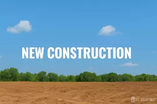 87 Highland Ave, Piscataway Township, NJ 08854 - Photo 1