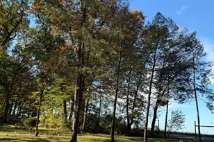 3 Beechtree Ln, Plainsboro Township, NJ 08536 - Photo 5