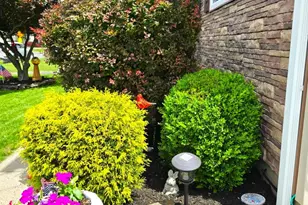 544 Edgeworth St, Middlesex, NJ 08846 - Photo 43