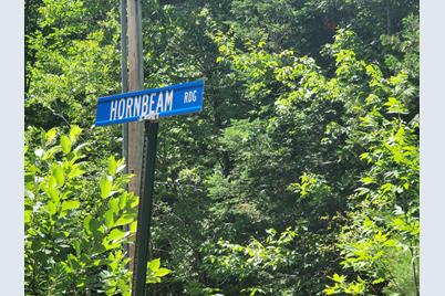 00 Hornbeam Ridge Road Lot 105/106 - Photo 1