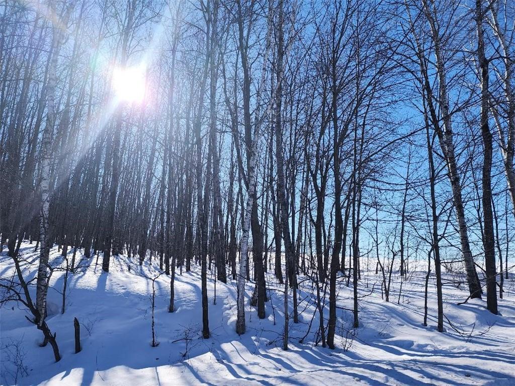 00 Sand Rd, Shell Lake, WI 54871 MLS 1571080 Coldwell Banker