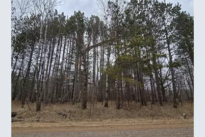 1684 Hilltop Road, Dewey Township, WI 54871 - Photo 1