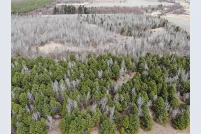 20.08 Acres County Highway B, Fairchild, WI 54741 - Photo 1