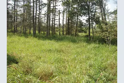 316 E Illinois Street, Butternut, WI 54514 - Photo 1