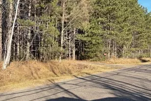 10030 Moose Lake Rd, Hayward, WI 54843 - Photo 1