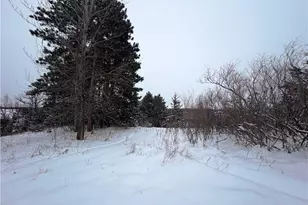 1339 Birch Park Ridge, Houlton, WI 54082 - Photo 1