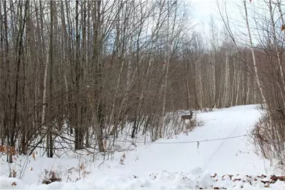 000 Badger Avenue, Granton, WI 54436 - Photo 1