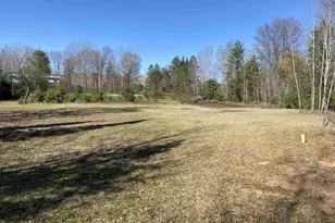 12161 N Branch Rd, Suring, WI 54174 - Photo 1